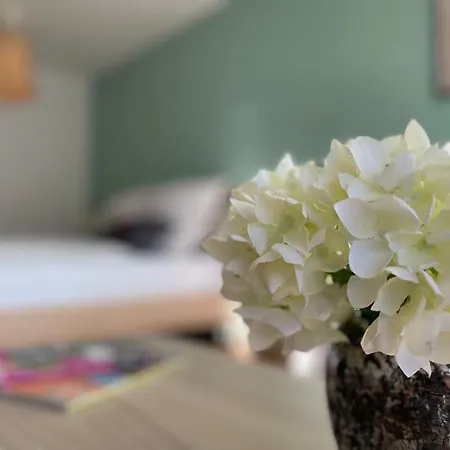 Bergfeeling Mit Apartamento